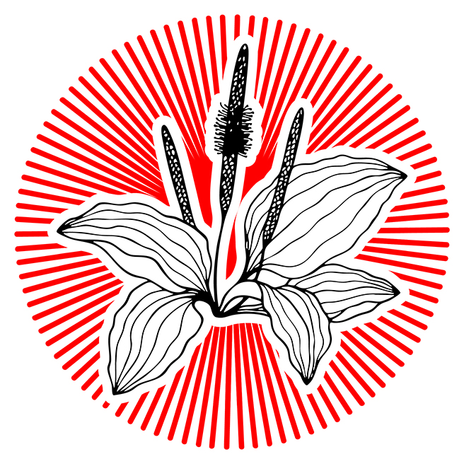 list item image