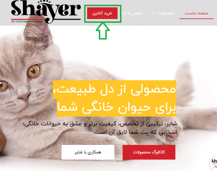راهنمای خرید آنلاین